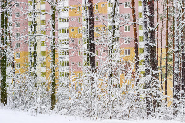 一栋多层住宅的碎片穿过雪原