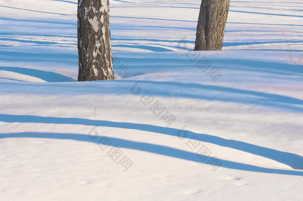 白色雪地上蓝色细腻的阴影线