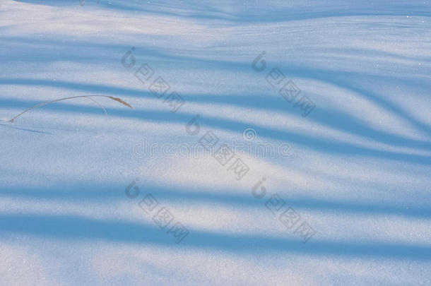 白色的雪上蓝色细腻的阴影线
