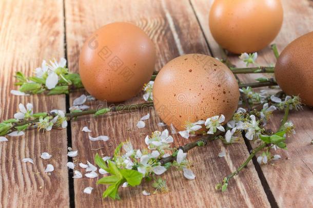 复活节-母鸡的鸡蛋与盛开的春天的花朵