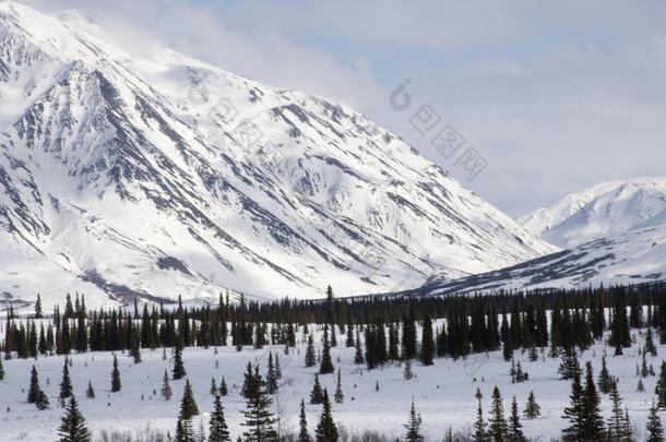 阿拉斯加。山。冰雪蓝天的冬季景观。