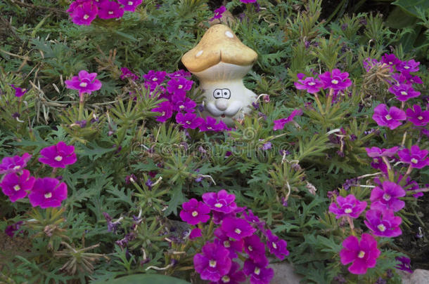 紫色花朵中蘑菇的陶瓷图形