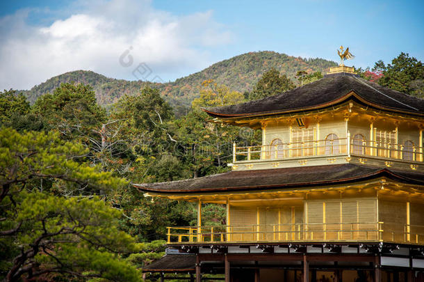 日本京都近畿寺