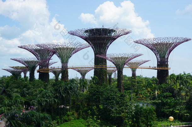 新加坡湾畔花园
