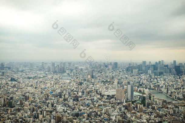 天线建筑学亚洲背景鸟