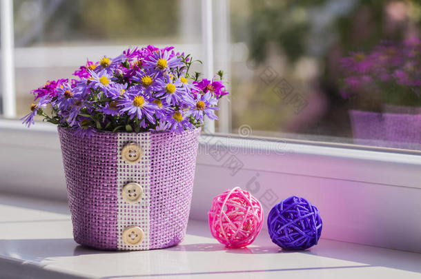 一束紫色的小菊花在靠近窗户的丁香篮子里