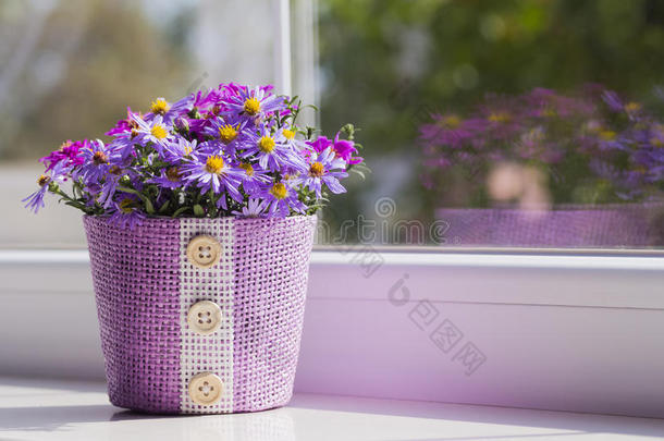 一束紫色的<strong>小菊</strong>花在靠近窗户的丁香篮子里