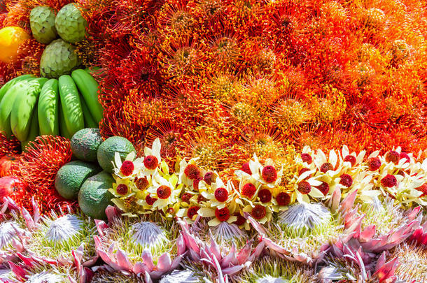 节日水果花卉装饰，马德拉花节，波尔图加