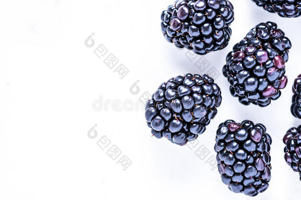 新鲜黑莓水果白色<strong>边框背景</strong>