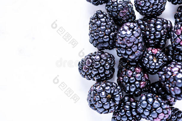 新鲜黑莓水果<strong>白色边框</strong>背景