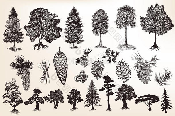 雕刻风格的手绘树木的集合或集合