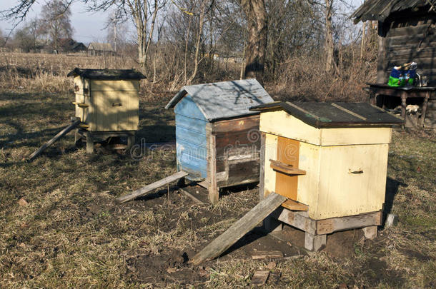 农业动物养蜂场养蜂背景