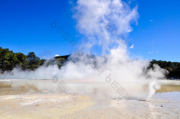 怀奥塔普地热区间歇泉，新西兰罗托鲁瓦附近