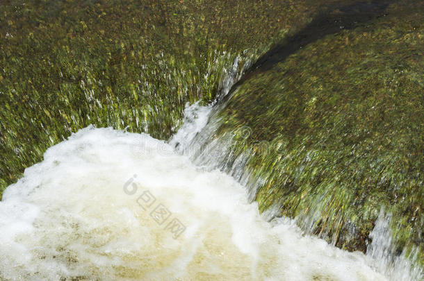 小溪绿色的岩石流水