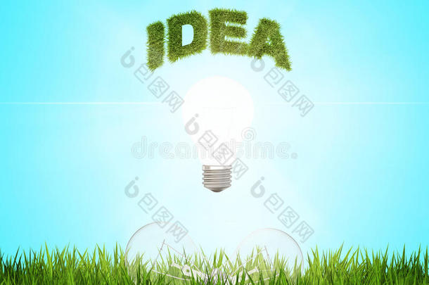 发光的灯泡与单词的想法在一个领域的新鲜绿草，这是另外两个灯泡.绿色能源的概念。