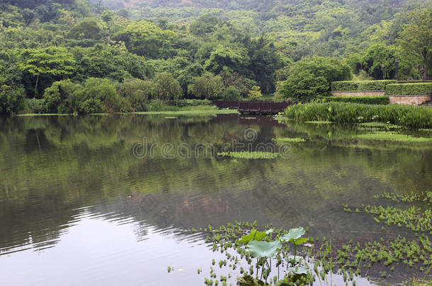 美丽的景<strong>湖</strong>（宁静的<strong>湖</strong>）