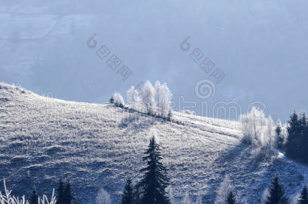喀尔巴阡山清洁的清楚的寒冷的凉爽的