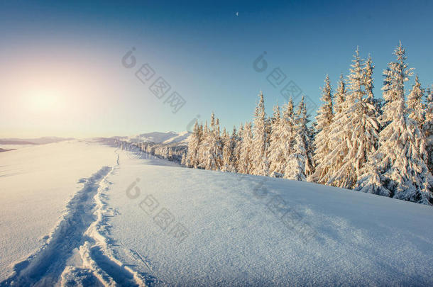 奇妙的冬季景观和被<strong>践踏</strong>的小径在日落的利亚
