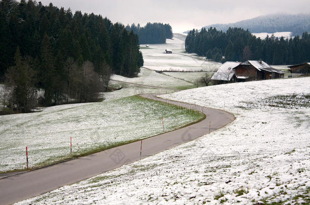 在初冬的时候，雪和绿草之间道路