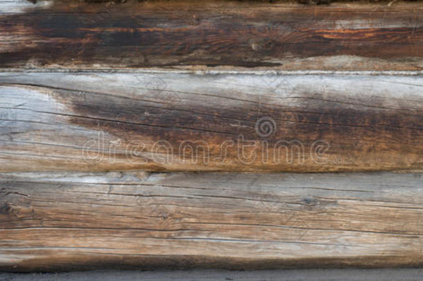 木制原木的背景纹理墙。 风化松木板
