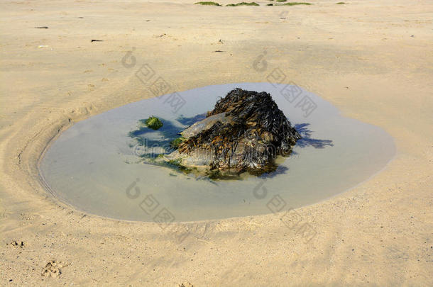 海滩康沃尔英国纽基水塘