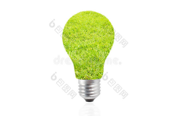生态能源灯泡在草绿色能源概念