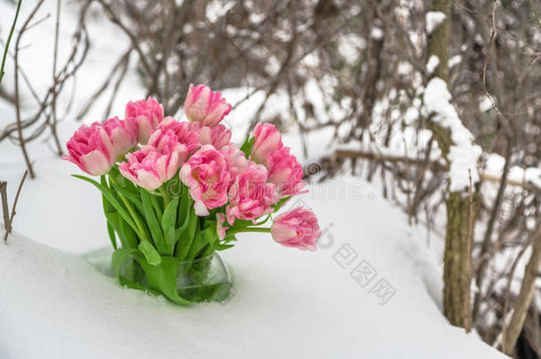 雪中的鲜花