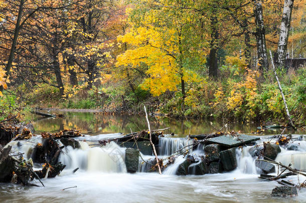 <strong>金色</strong>的森林，<strong>流动</strong>的河水在秋天穿过石头，长时间暴露