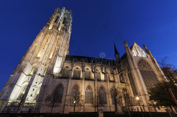 安特卫普建筑学比利时蓝色大教堂