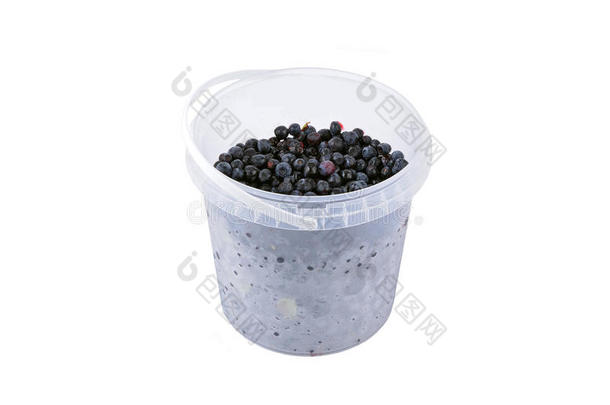 <strong>塑料桶</strong>里的蓝莓
