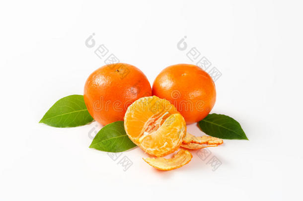 鲜橘叶