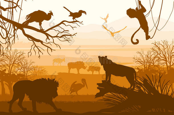 野生动物的自然美（狮子、野猪、山羊、、猴子、鸟、孔雀，）
