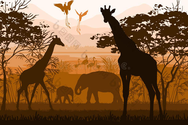 野生动物的自然美（长颈鹿、大象、火烈鸟、天堂鸟）