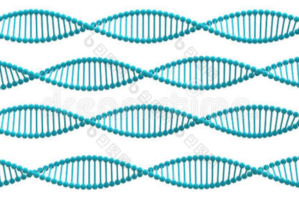 DNA螺旋结构。