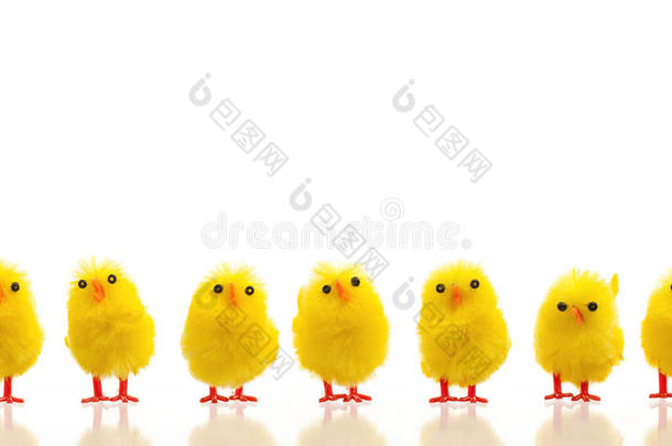 一排排的复活节小鸡