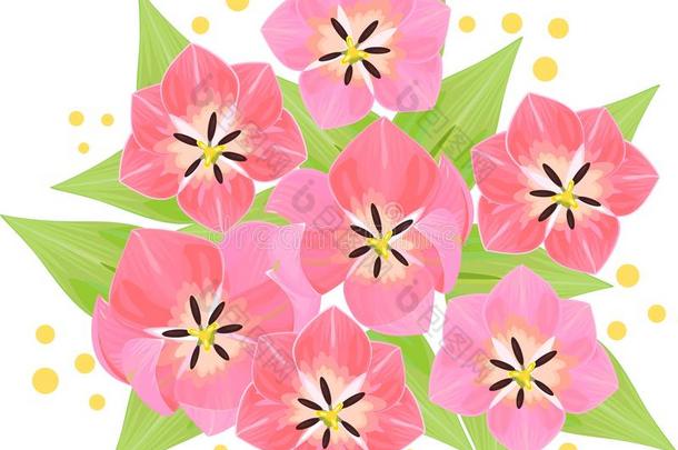 含羞草的粉红色郁金香花束