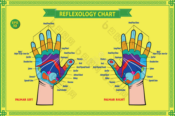 手反射学图表