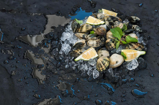 新鲜的未煮熟的蛤蜊与柠檬，草药和香料在碎冰在黑暗的石板石背景