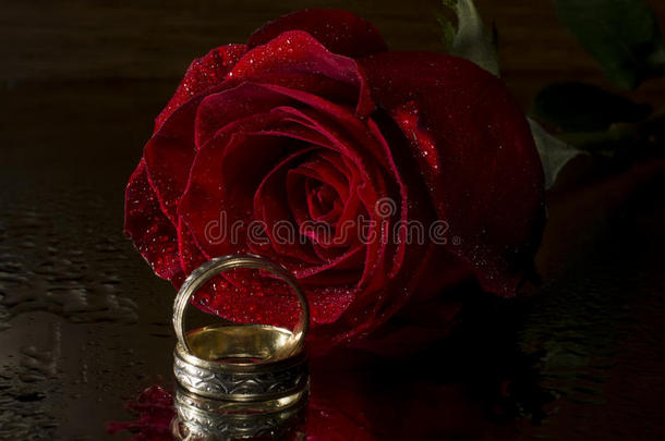 红<strong>玫瑰</strong>和结婚戒指