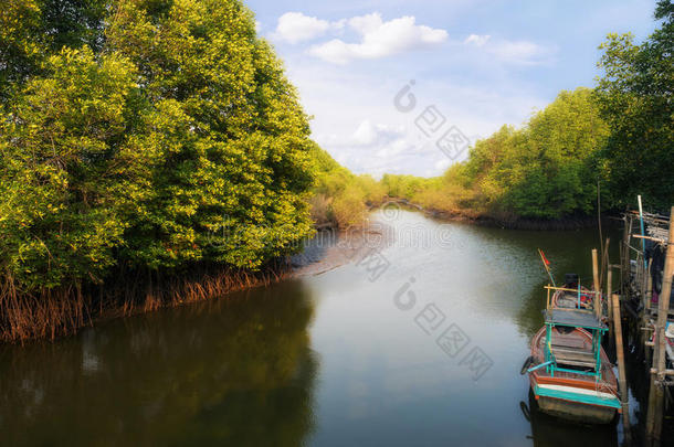 运河与红树林森林和小船在农村的场景