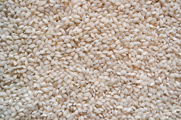 谷物大米背景