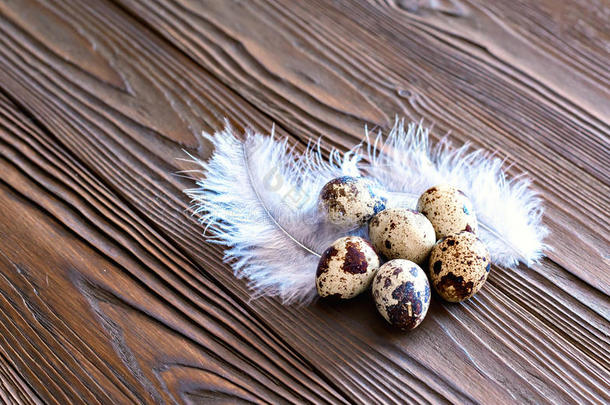 复活节鹌鹑蛋和羽毛是木制的背景。
