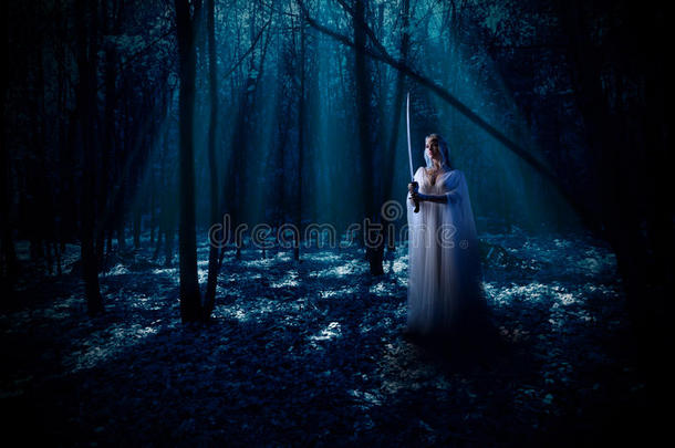 夜晚<strong>森林</strong>里带着剑的<strong>精灵</strong>女孩