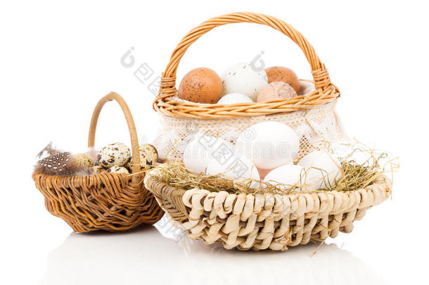 篮子里的鸡蛋和鹌鹑蛋