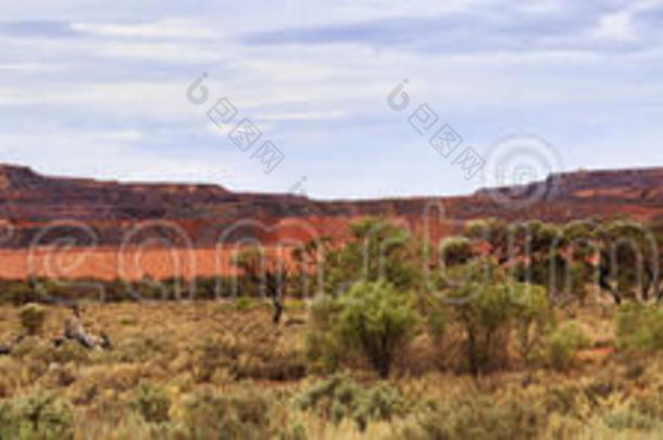 澳大利亚繁荣灌木丛沙漠发展