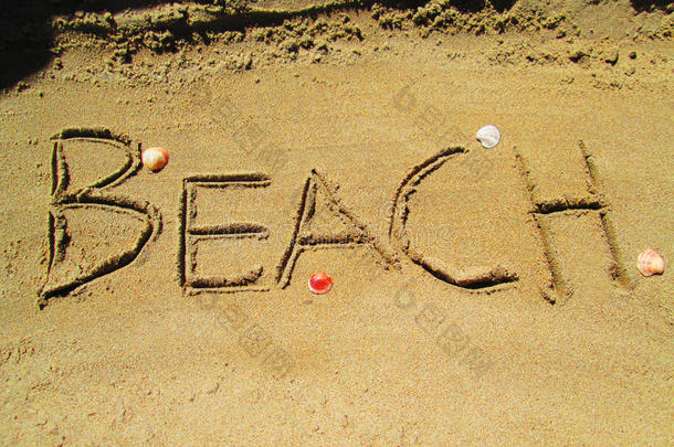 海滩沙-贝壳
