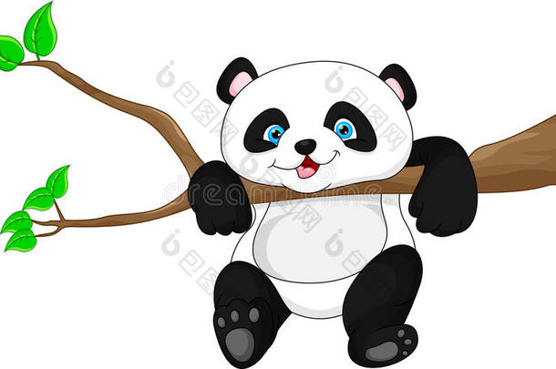 可爱有趣的熊猫宝宝挂在树上