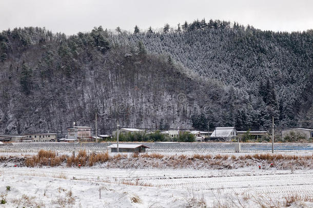 乡村日本风景雪冬天