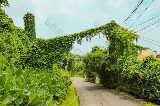 天线美丽的蓝色平静的首都