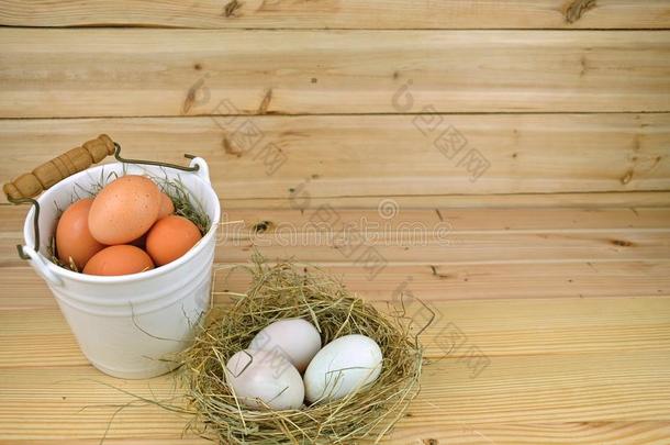鸟巢里的鸭蛋和陶瓷篮子里的鸡蛋
